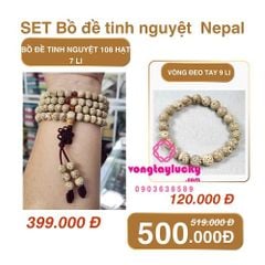 Hình ảnh bài viết