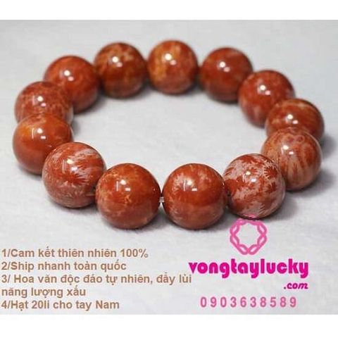 Hình ảnh bài viết