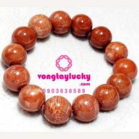 Hình ảnh bài viết