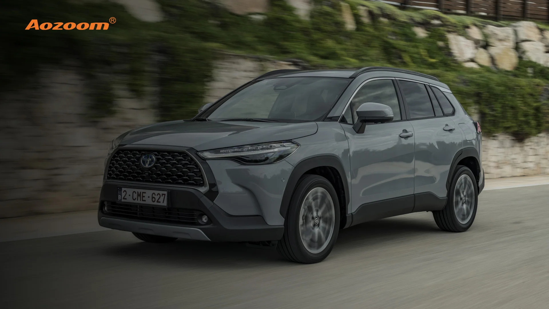 Comparing Full Hybrid and Mild Hybrid