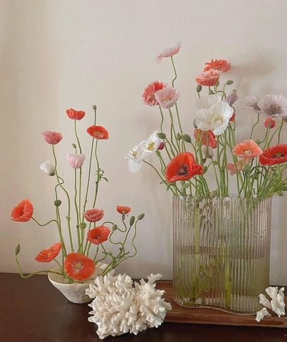 Hoa Poppy – Vẻ Đẹp Mong Manh và Biểu Tượng Sâu Sắc