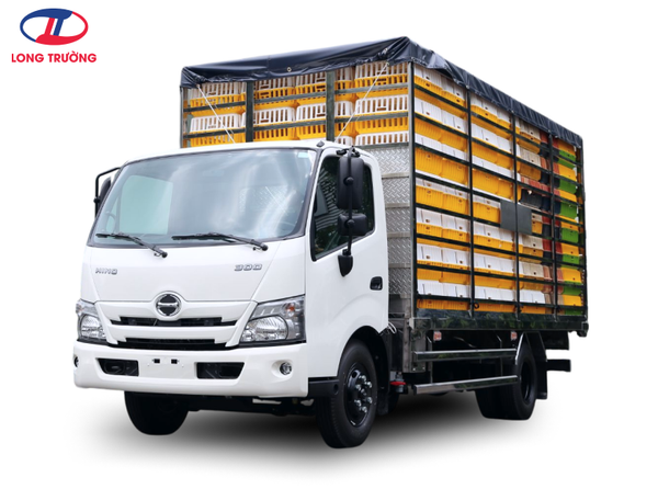 Xe gia cầm