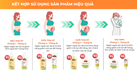 Cách Chọn Kem Palmer’s Theo Giai Đoạn Thai Kỳ