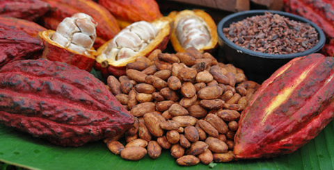 Bơ Cacao Palmer's: Hé Lộ Thành Phần 