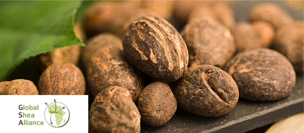 Palmers thuộc hiệp hợp bơ cacao thế giới