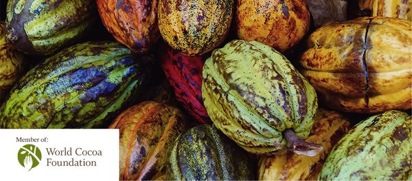 Palmers thuộc hiệp hợp bơ cacao thế giới