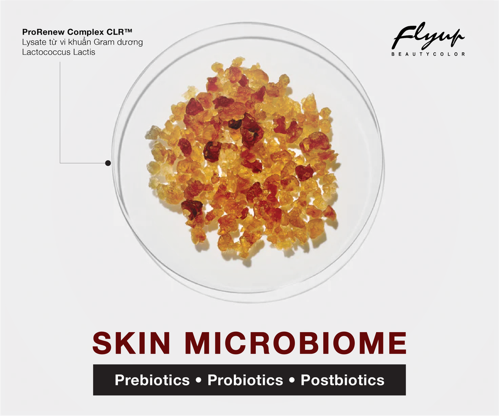 SKIN MICROBIOME: KỶ NGUYÊN MỚI CỦA DA LIỄU VÀ VAI TRÒ ĐỘT PHÁ CỦA POSTBIOTIC TRONG TÁI TẠO VÀ PHỤC HỒI SKIN BARRIER