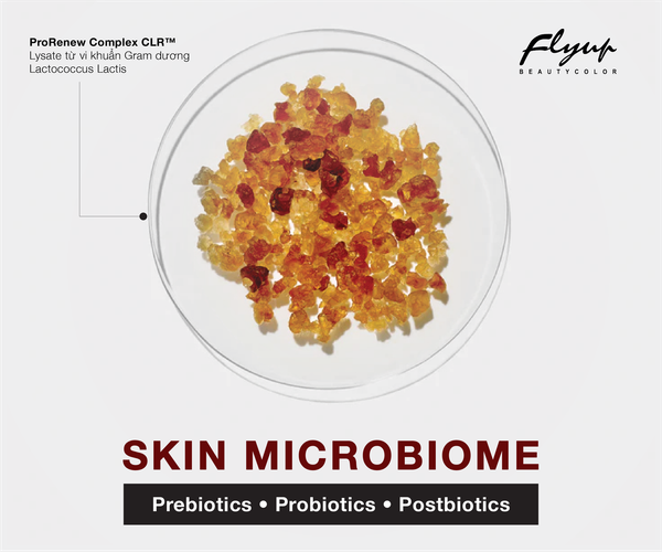 SKIN MICROBIOME: KỶ NGUYÊN MỚI CỦA DA LIỄU VÀ VAI TRÒ ĐỘT PHÁ CỦA POSTBIOTIC TRONG TÁI TẠO VÀ PHỤC HỒI SKIN BARRIER