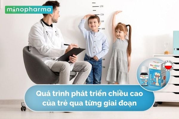 Quá Trình Phát Triển Chiều Cao Của Trẻ Qua Từng Giai Đoạn.