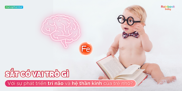 Sắt có vai trò gì với sự phát triển trí não và hệ thần kinh của trẻ nhỏ?