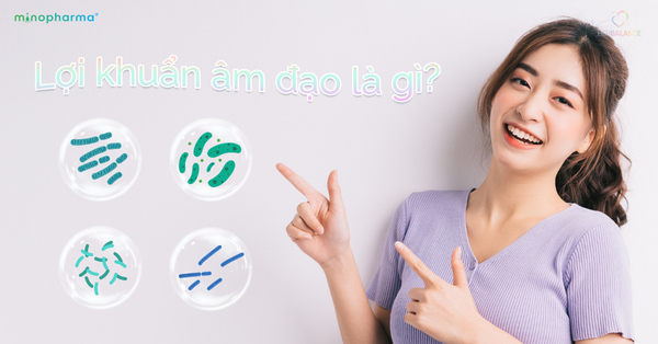 MEN VI SINH: BÍ QUYẾT CÂN BẰNG HỆ VI SINH VÙNG KÍN, PHÒNG NGỪA VIÊM NHIỄM