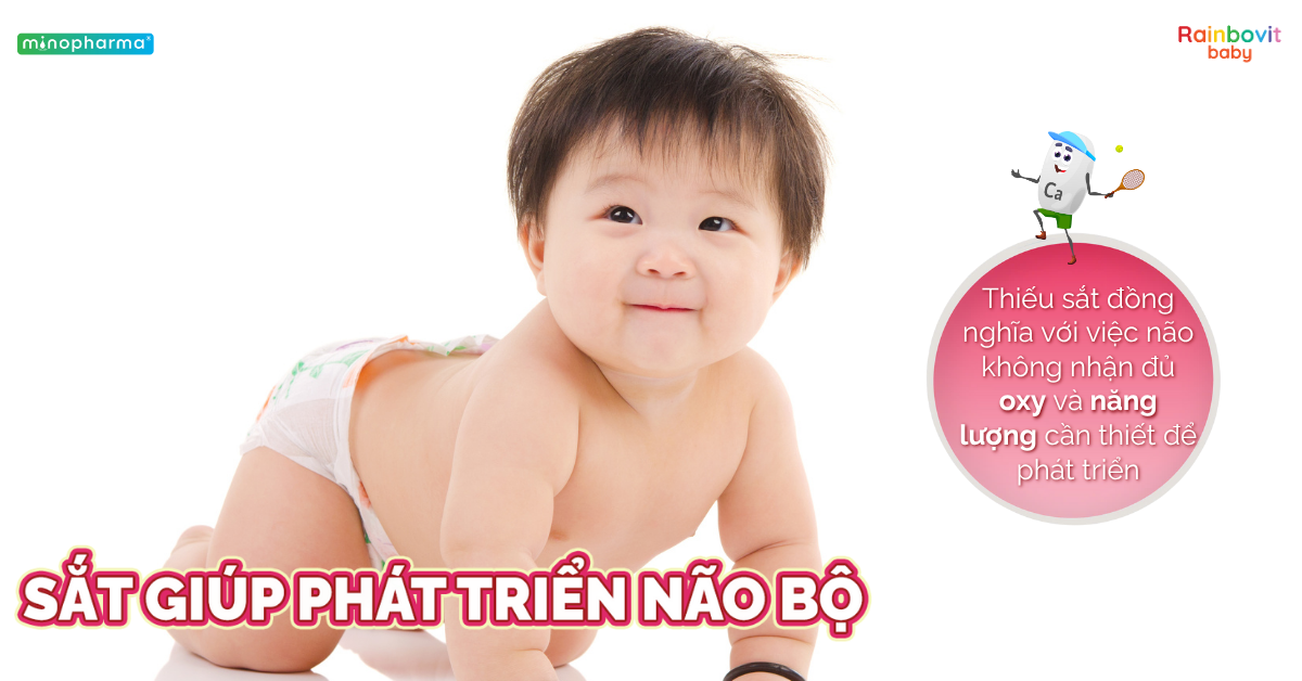 Sắt có vai trò gì với sự phát triển trí não và hệ thần kinh của trẻ nhỏ?