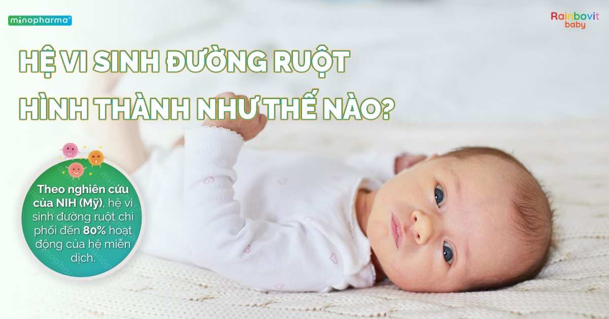 Hệ vi sinh đường ruột của trẻ sơ sinh – nền tảng đầu tiên của hệ miễn dịch