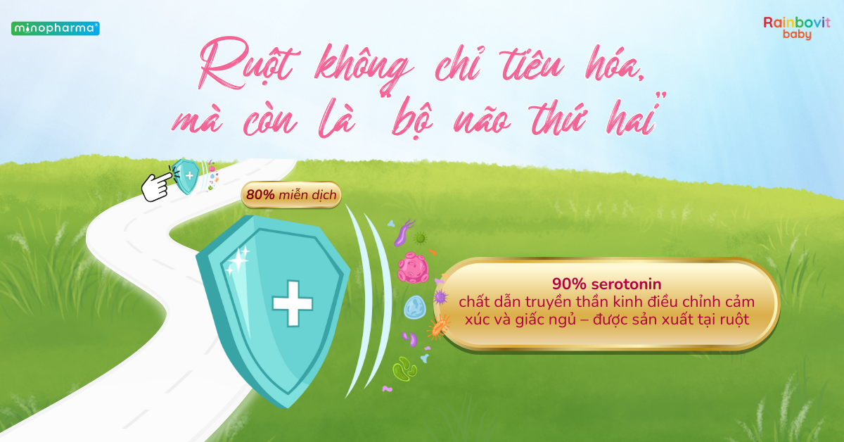 Trục não – ruột – miễn dịch: Kết nối không thể tách rời trong 1000 ngày đầu đời