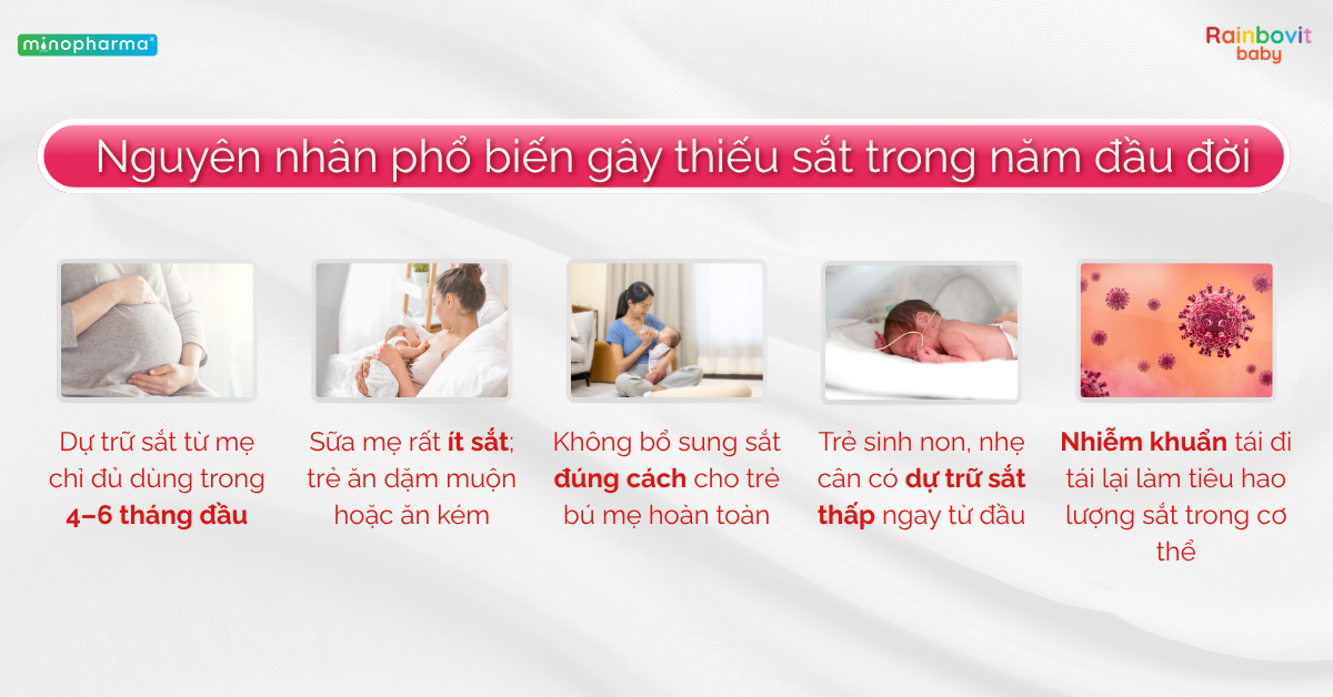 Thiếu sắt ở trẻ sơ sinh tại Việt Nam – Vấn đề cộng đồng đang bị bỏ quên