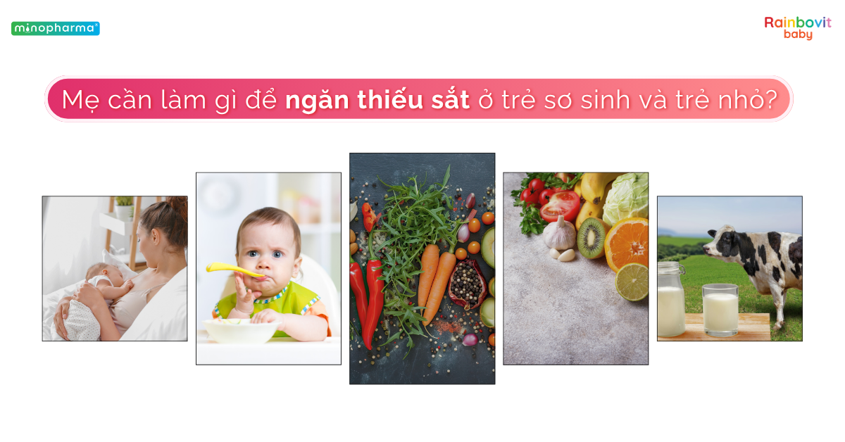 Sắt có vai trò gì với sự phát triển trí não và hệ thần kinh của trẻ nhỏ?