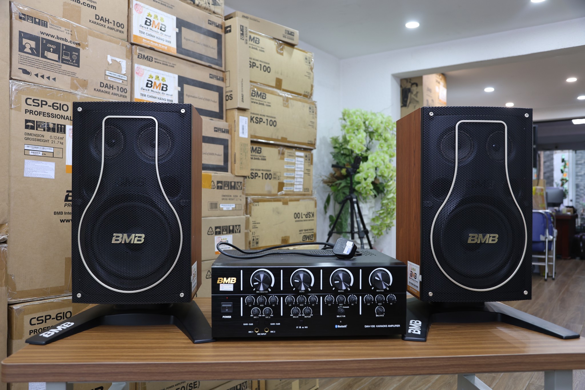 Loa karaoke bass 20, 3 đường tiếng – lựa chọn lý tưởng cho phòng khách gia đình