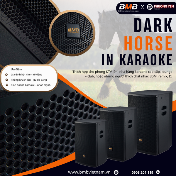 Loa Karaoke PRO PMS - Chú Ngựa Ô trong làng giải trí Karaoke