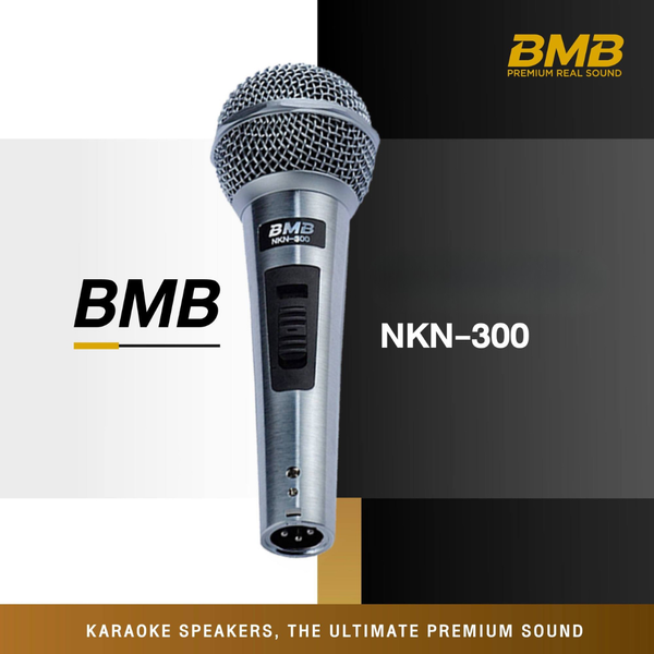 Micro Karaoke BMB NKN-300