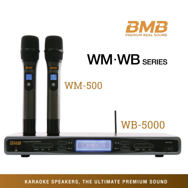 Micro Karaoke BMB WH 210