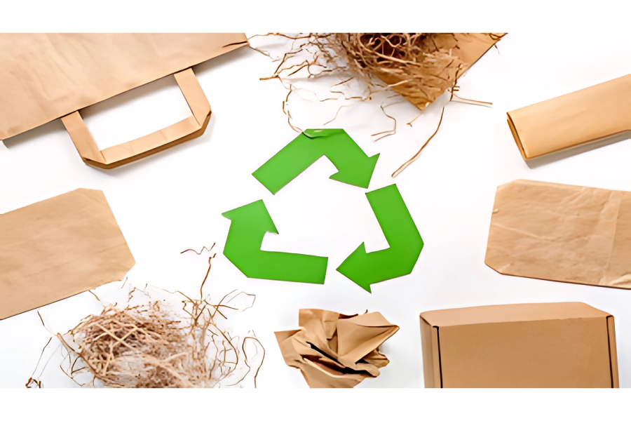 5 Lý Do Doanh Nghiệp Nên Chuyển Sang Bao Bì Carton Thân Thiện Môi Trường