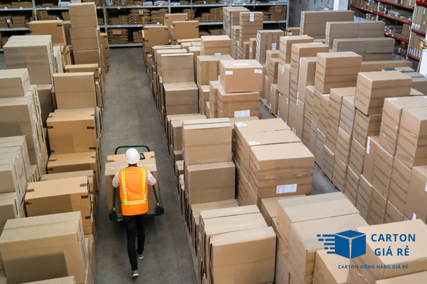 Logistics Xanh – Chuyển Đổi Sang Hộp Carton Tái Chế Là Bắt Buộc Trong Tương Lai?