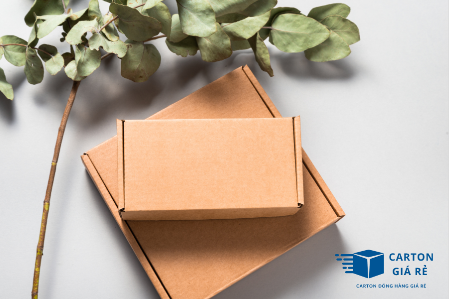 Vì Sao Hộp Carton Nắp Cài Được Ưa Chuộng Trong Vận Chuyển Hàng Nhẹ?