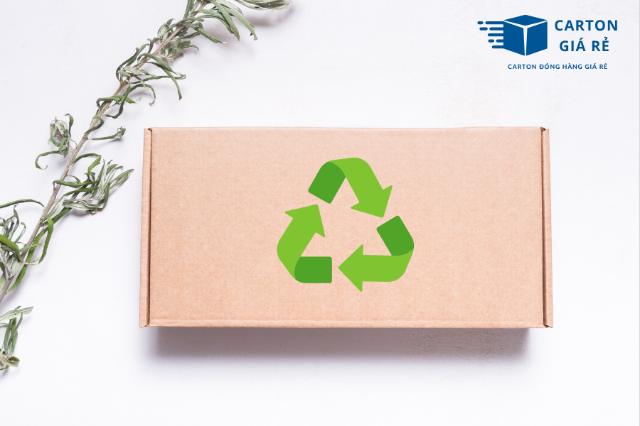 Hộp Carton Nắp Cài Có Thể Sử Dụng Bao Nhiêu Lần? Bí Quyết Tái Dùng Hiệu Quả