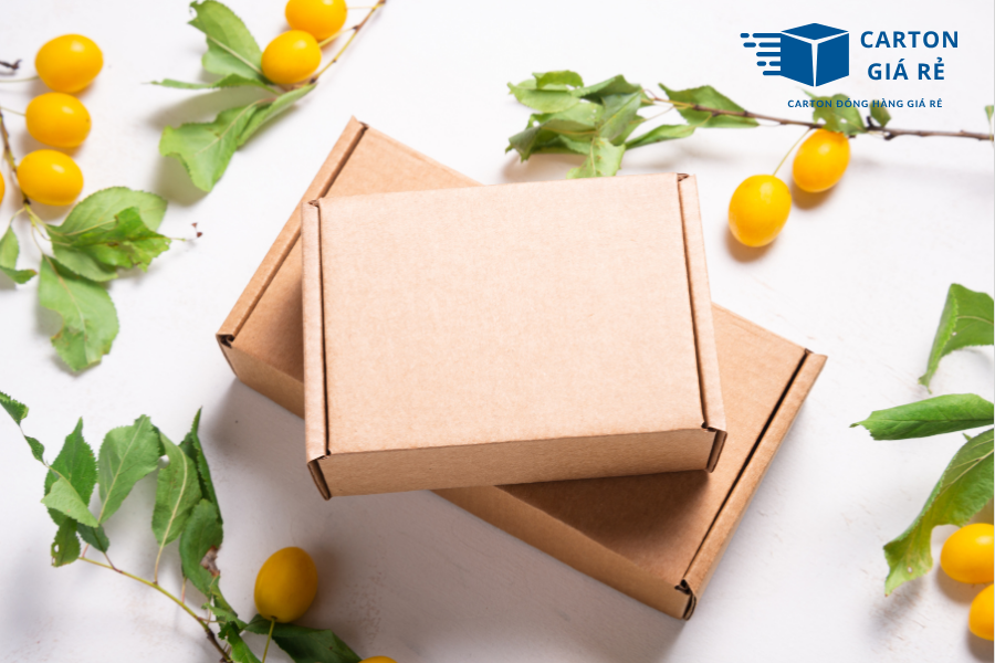 Nắp Cài Có Thể Thay Thế Hoàn Toàn Băng Keo Đóng Hàng Trong Các Đơn Vận Chuyển Gần Không?