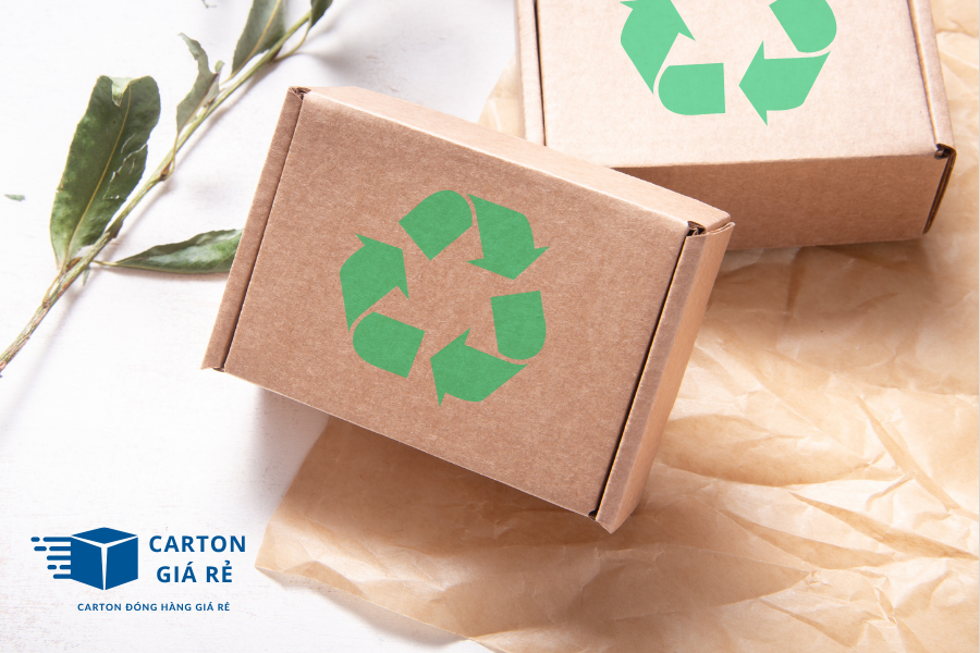 Hộp Carton Nắp Cài Và Vai Trò Thúc Đẩy Tiêu Dùng Xanh Ở Thế Hệ Gen Z