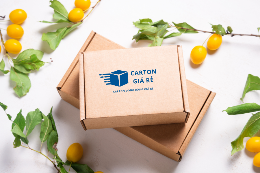 Gấp Gọn – Mở Nhanh – Tái Dùng Dễ: Ưu Điểm Khiến Hộp Carton Nắp Cài Được Ưa Chuộng