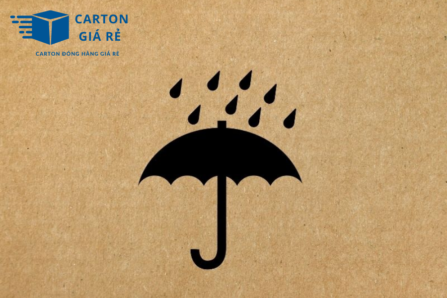 Khi Hộp Carton Bị Ướt: Cách Xử Lý Hiệu Quả