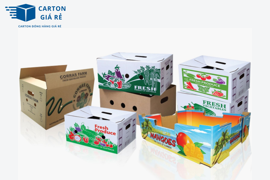 Tăng Giá Trị Nông Sản Bằng Bao Bì Carton – Xu Hướng Mới Trong Xuất Khẩu Nông Nghiệp
