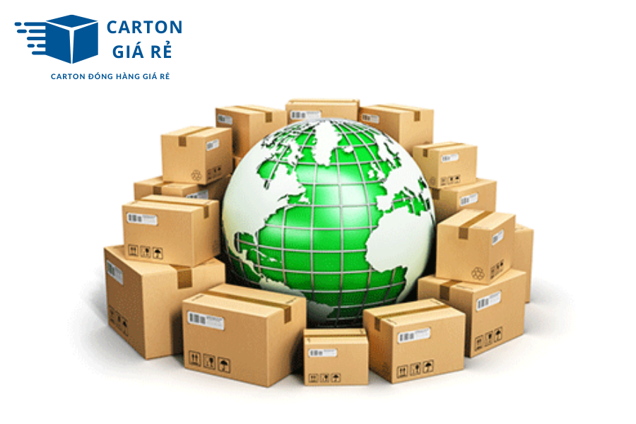 Hộp Carton và Chuỗi Cung Ứng Bền Vững: Mối Liên Hệ Không Thể Tách Rời
