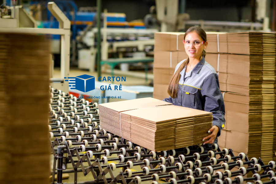 Kinh Nghiệm Đặt Hộp Carton Theo Kích Thước Chuẩn – Tránh Lãng Phí Không Gian Vận Chuyển