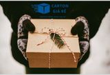 Hộp Carton – Giải Pháp Bảo Vệ Và Quảng Bá Thương Hiệu Hiệu Quả