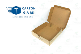 Tối Ưu Chi Phí Đóng Gói: Chọn Thùng Carton Đúng Cách