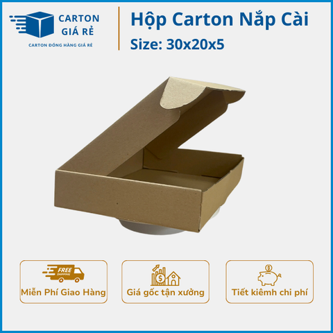 Hộp carton nắp cài 30x20x5