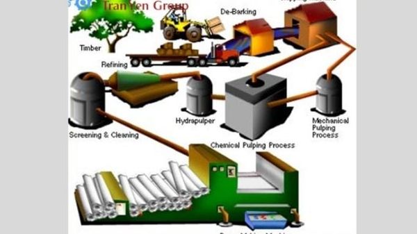 HỘP CARTON NẮP ĐỐI