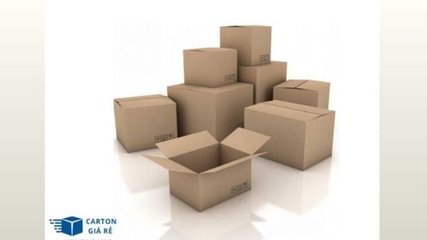 HỘP CARTON NẮP CÀI
