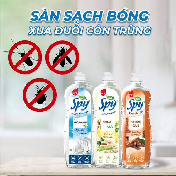 Sàn sạch bóng, xua đuổi côn trùng 