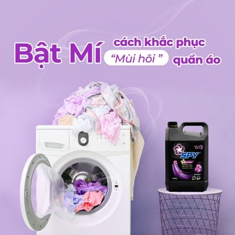 Quần áo 