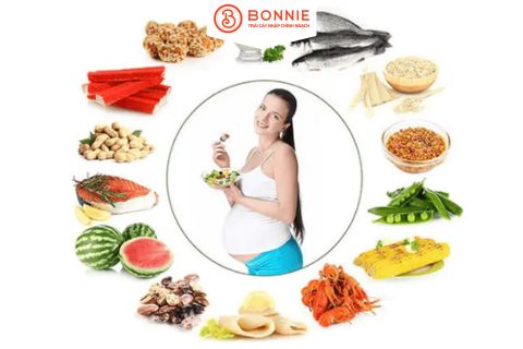 3 Tháng Đầu Thai Kỳ Nên Ăn Gì Để Con Khỏe, Mẹ An Tâm?