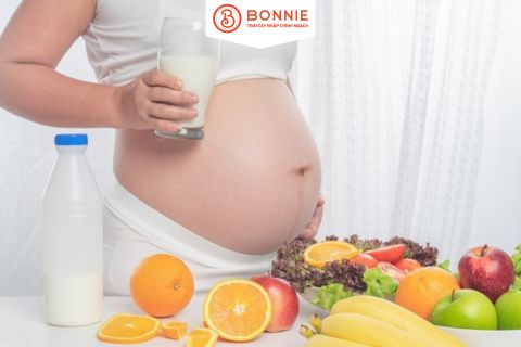 Top 15 Thực Phẩm Nhiều Đạm Cho Bà Bầu