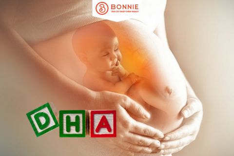 Mang Thai Tháng Thứ 4 Cần Bổ Sung Gì? Hướng Dẫn Chi Tiết Cho Mẹ Bầu