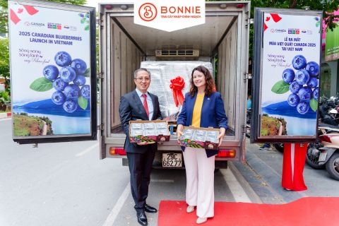 Chào đón mùa việt quất Canada 2025 - Hành trình từ vườn Bristish Columbia đến bàn ăn Việt