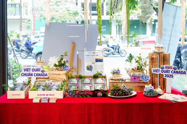 Le-ra-mat-mua-viet-quat-canada-2025-tai-viet-nam