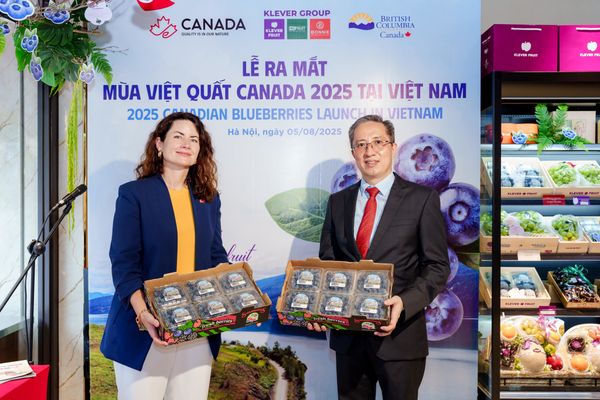 Viet-quat-canada-2025