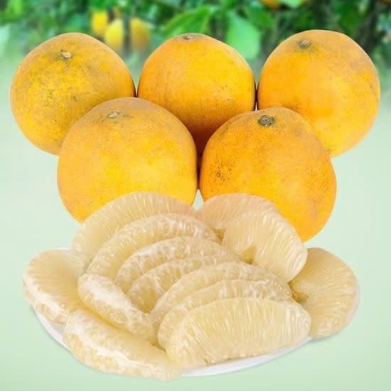 Bưởi Diễn đặc sản Việt Nam