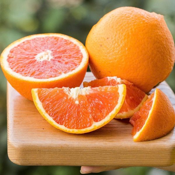 cách chọn cam ngon